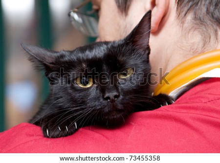 Vet caressing cute black cat on his shoulder