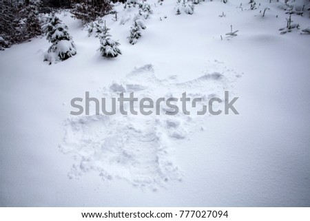 Snow angel on clean snow in the forest