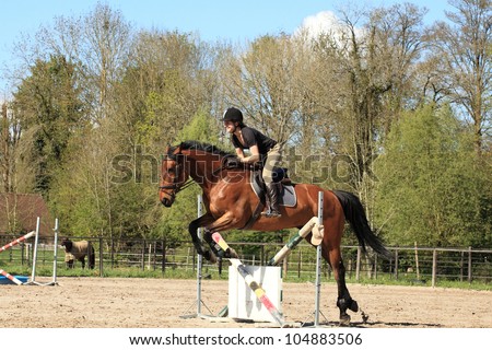 Young woman with a brown horse jump an obstacle