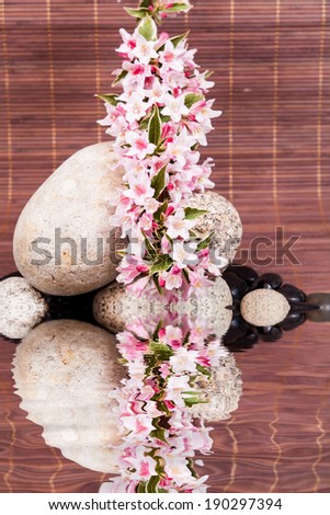 spa concept with zen stones on water, flowers and bamboo