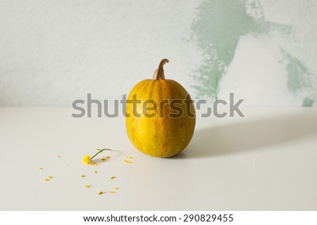 Minimalistic pumpkin still life on white table