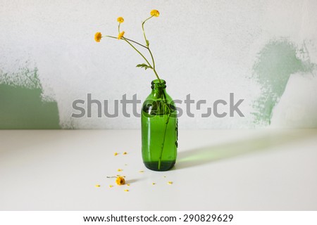 Minimalistic still life with green glass bottle and yellow flowers