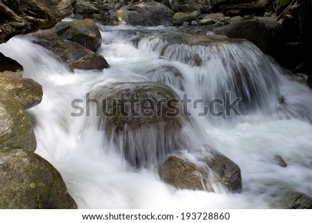River runs over stones and boulders in primeval forest