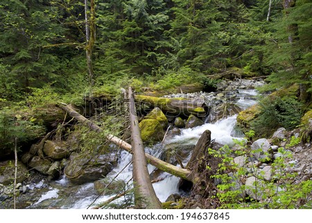 River runs over boulders in primeval forest (Capilano River) British Columbia, Canada