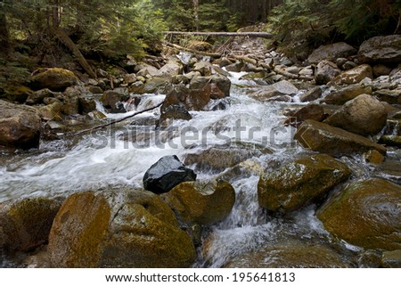River runs over boulders in primeval forest, Capilano River