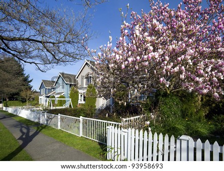 Spring blossom trees and family houses