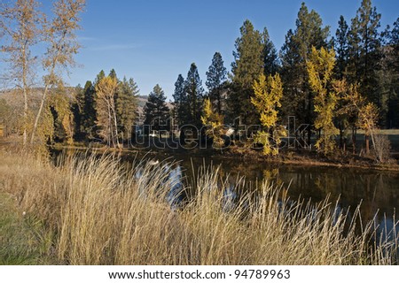 River in fall with yellow trees