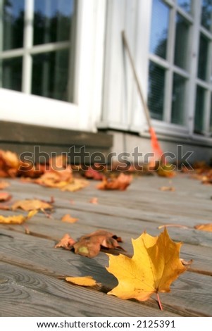 Colorful autumn maple leaves on backyard patio