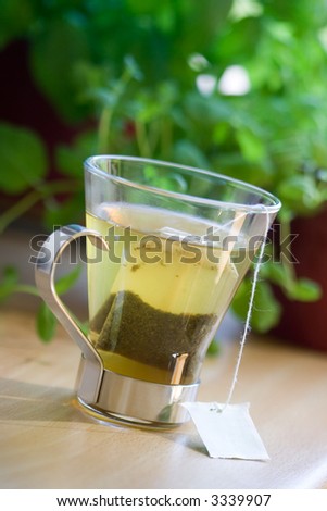 Green tea bag in glass tea cup