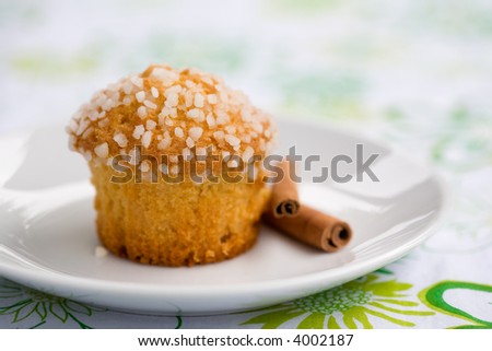 Apple muffin and cinnamon sticks on white plate