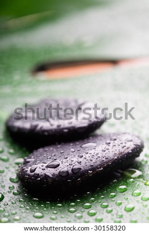 Black massage stones with water drops