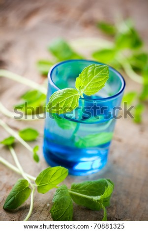 Bunch of fresh mint in blue glass
