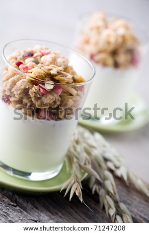 Natural yogurt with muesli in small glass