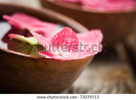 Detail of hortensia petals floating on bowl of water