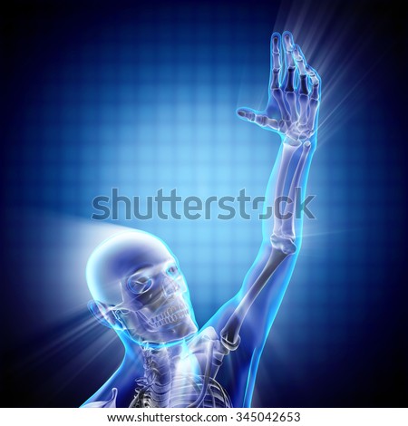 human hand bones radiography