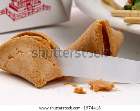 fortune cookie with blank fortune