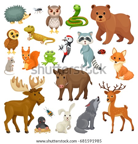 Set of forest animals, birds in a cartoon style. Vector illustration isolated on a white background.