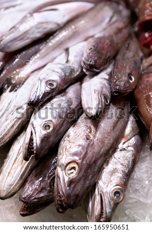 fresh fish arranged one on each other - spanish fish market