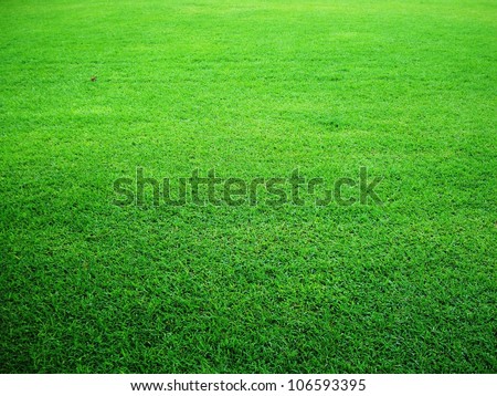 green grass green grass