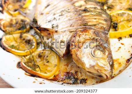 Oven cooked fish with lemon and herbs on dish closeup