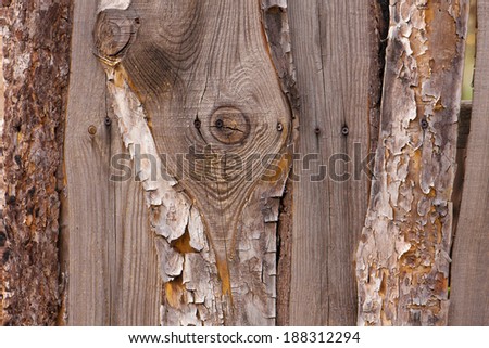 wooden fence made Ã?Â¢??Ã?Â¢??of boards with nails