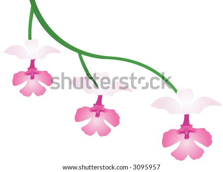 Upside Down Orchid