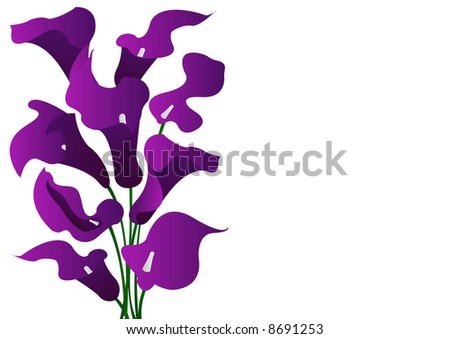 stock photo wedding bouquet purple cala lilies