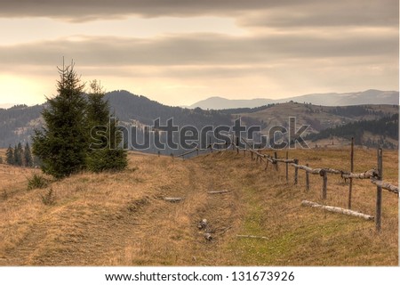 green pines on mountain wood background with yellow grass at cloudy weather along wooden fence