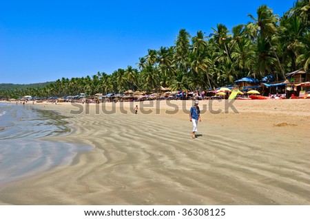 Exiting Palolem beach panorama on low tide with white wet sand and green coconut palms, Goa, India