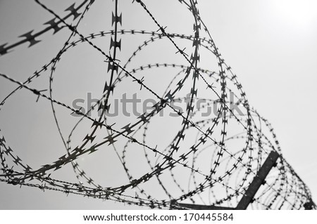 barbed wire in black & white
