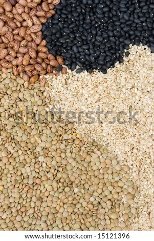 Beans, Rice and Lentils pattern