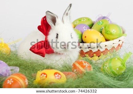 Front view of a white cute rabbit with a red bow on his neck, sitting on grass, surrounded by colorful painted Easter eggs: orange, yellow, green, purple. High resolution image taken in studio.