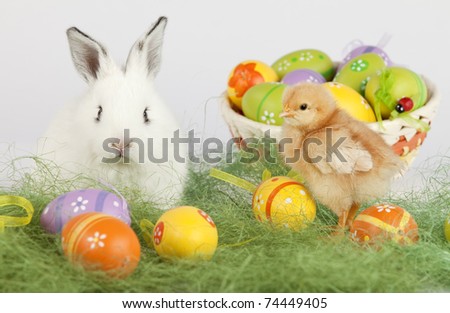 Easter image of a cute white bunny looking at camera, sitting on grass, next to a red baby chicken and a basket full of colorful painted eggs. High resolution image taken in studio.