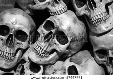 stock photo pile of skulls