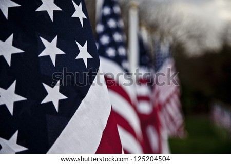 Veteran\'s Day Flags