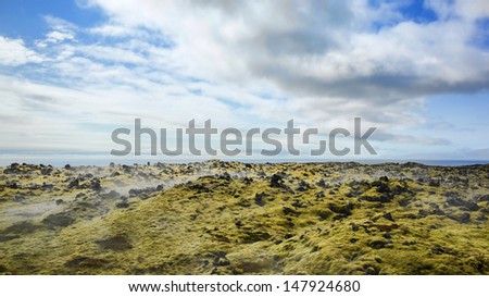 Smoking moss, Iceland