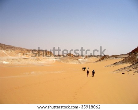 group of people and a camel walking in the white desert