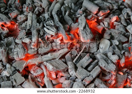 coal and wood ash burning in an oven