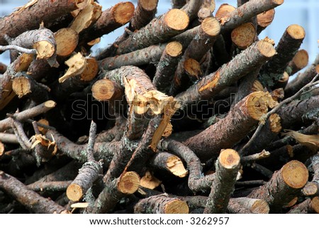 Scattered wood logs piled up