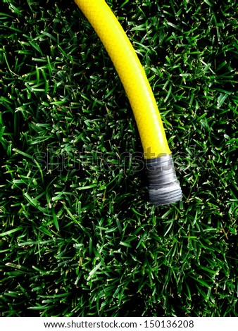Yellow hose with water spraying on green grass
