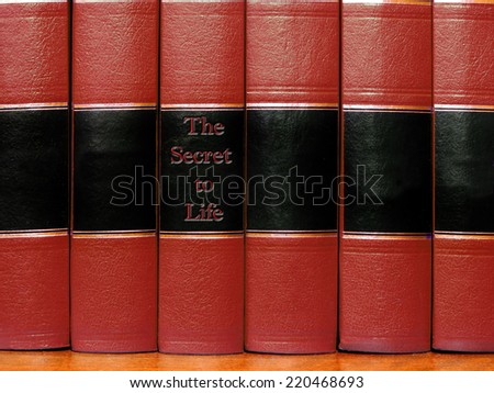 Row of old red leather books on a shelf with blank covers