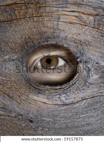 Person\'s eye looking through a hole in wood