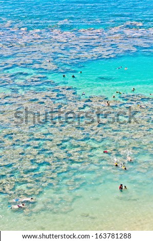 HANAUMA, HAWAII - AUGUST 26: Snorkelers and families swimming around the coral, on August 26, 2013 in Hanauma Bay, Hawaii. Hanauma is one of the most popular tourist destinations in the Hawaiian Islands