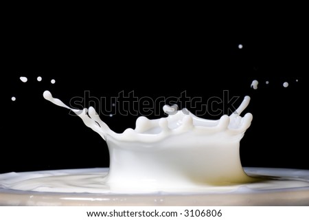 Close up of milk splash; Macro image of milk splash