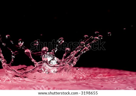 drop of water. stock photo : Drop of water;