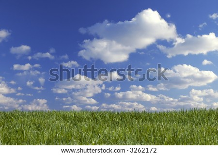 Stock image of grass and sky; Clean background of grass and sky with clouds