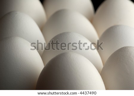 Image of eggs in low light condition