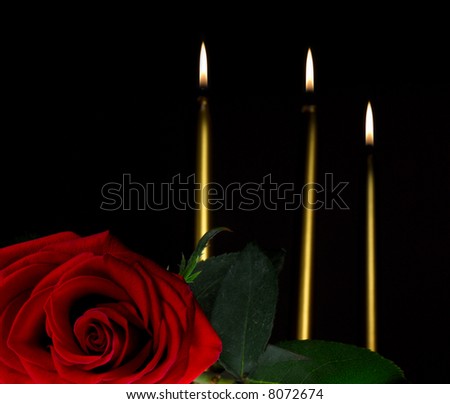 Romantic setting with rose and candles