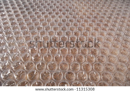 Plastic bubble wrap. Background image of bubble wrap