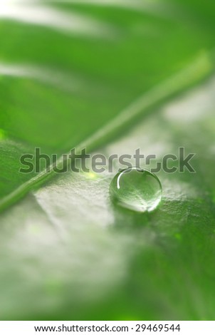 Extreme close-up image of drop on green leaf